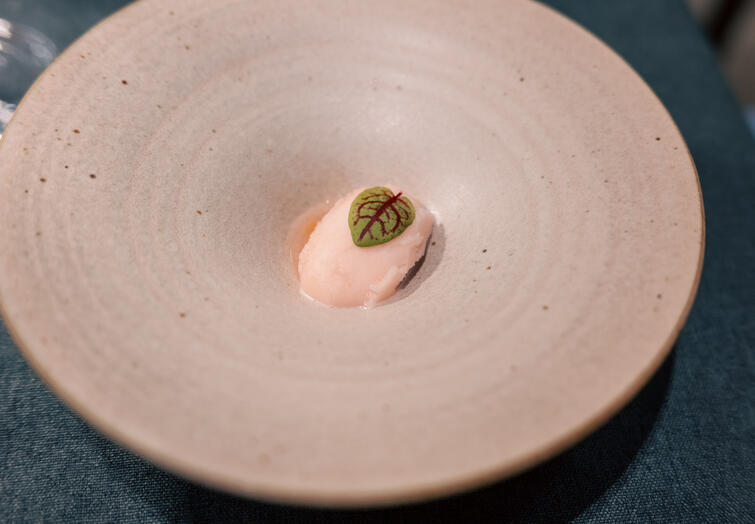 Grapefruit sorbet served as a small palate cleanser in a wide ceramic bowl.